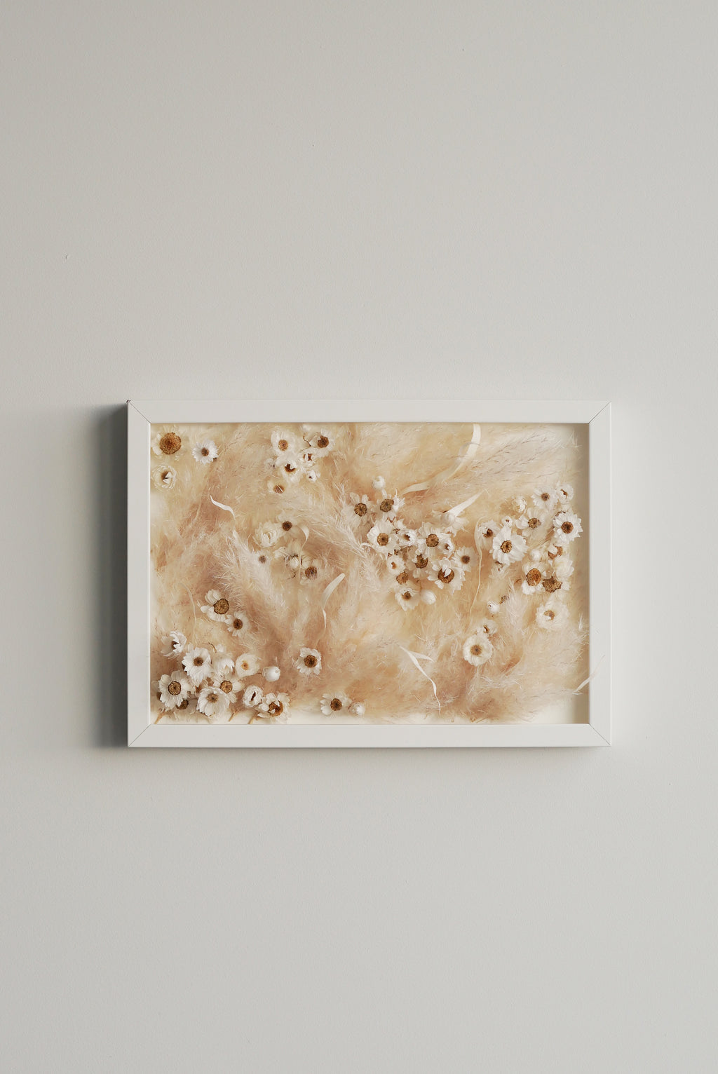 Still Meadow — Framed Dried Daisy & Pampas Grass Wall Art