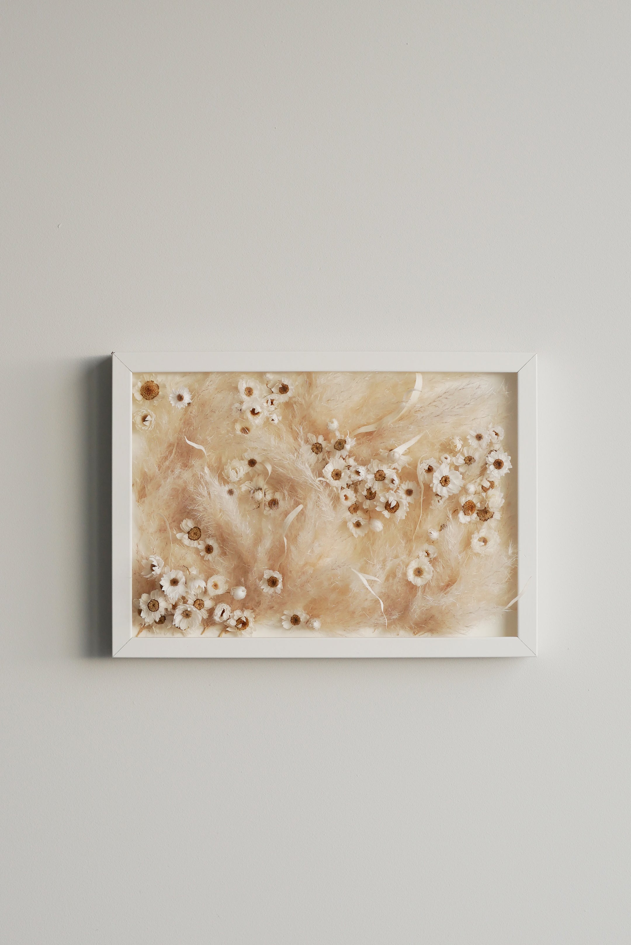 Still Meadow — Framed Dried Daisy & Pampas Grass Wall Art