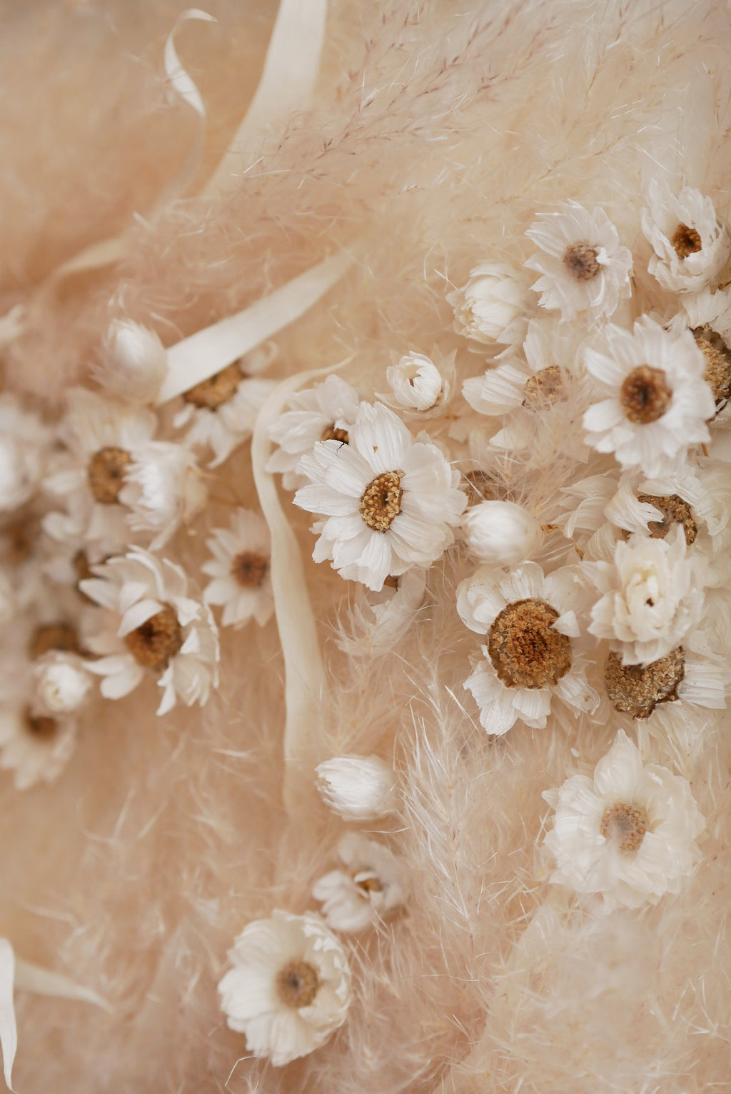 Still Meadow — Framed Dried Daisy & Pampas Grass Wall Art