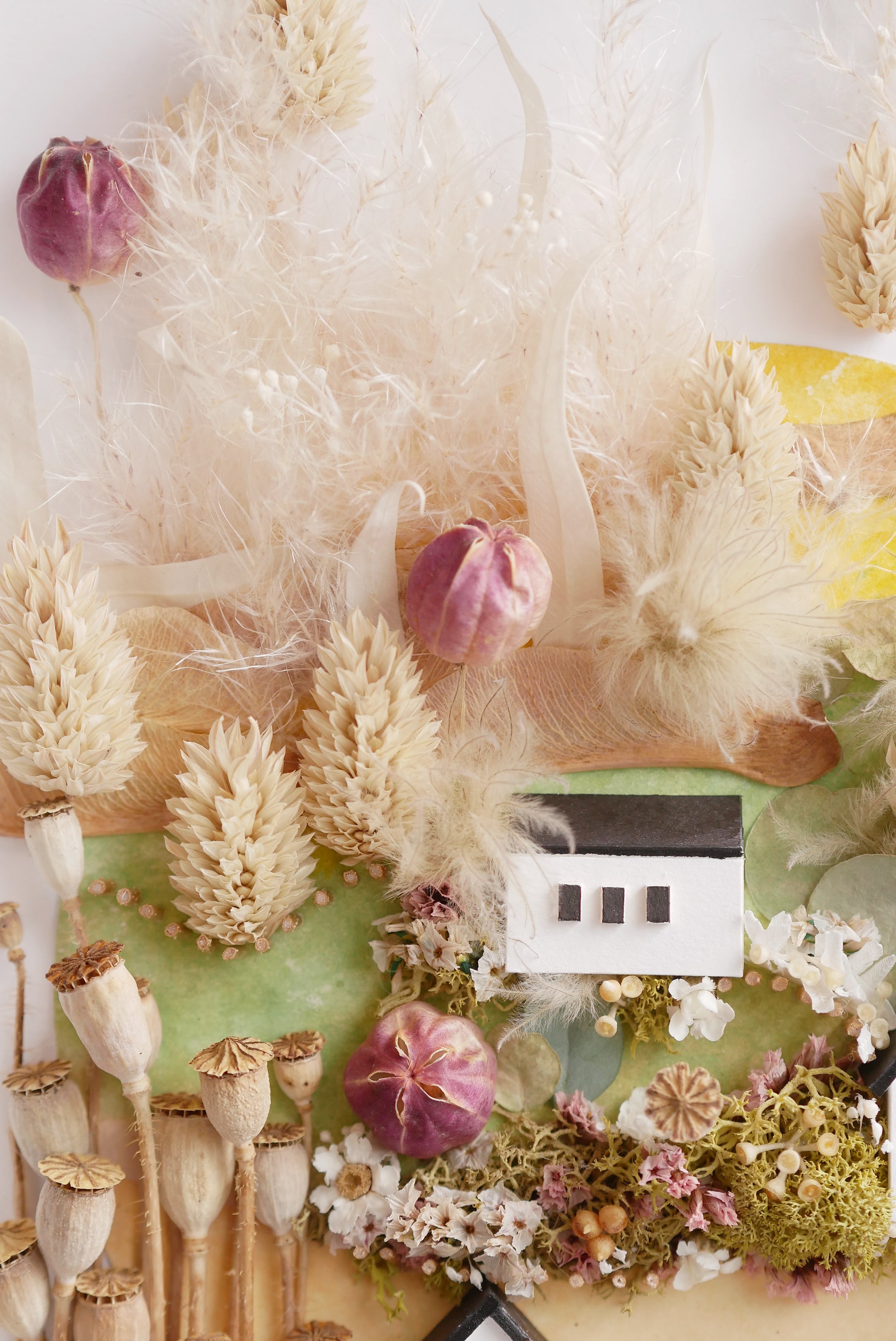 Poppy Meadow Hollow — Framed Botanical & Dried Flower Wall Art